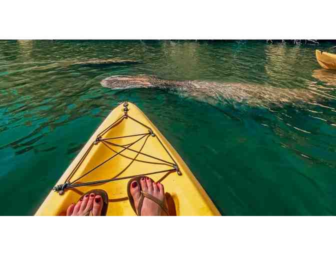 Cape Coral Kayak