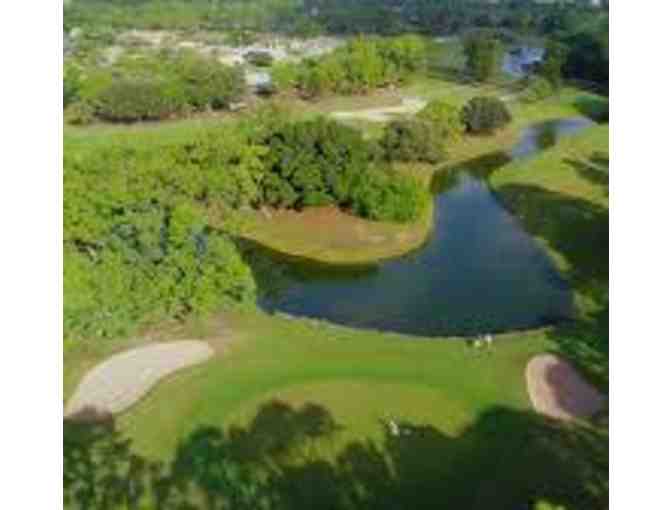 Golf for 4 at Palmetto-Pine Country Club