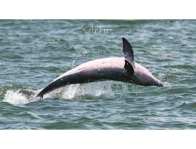 Banana Bay Tour Company