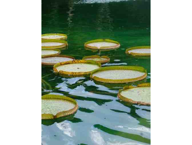 Cedar Lakes Woods and Gardens - 2 Guest Passes