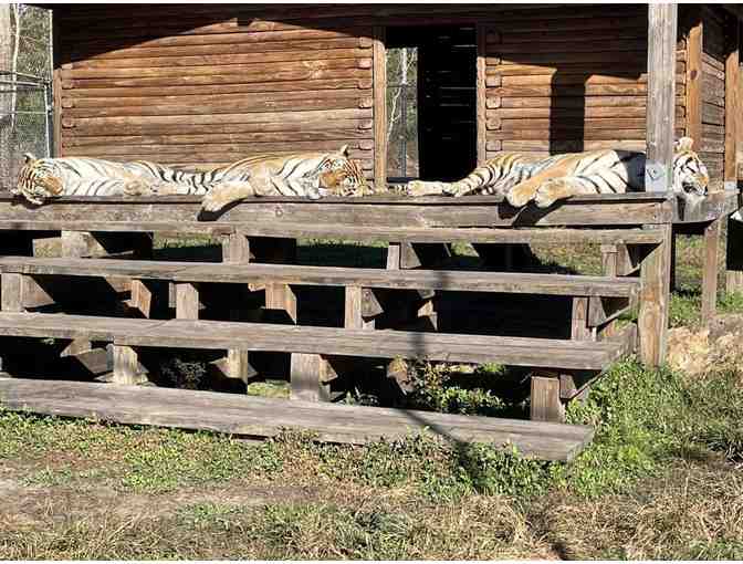 Family Pass for two adults and two children to - Catty Shack Ranch Wildlife Sanctuary
