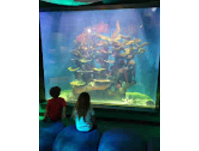 Conservancy of SW Florida - Naples Guest Passes