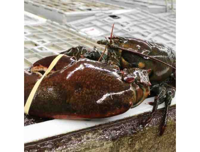 The Lobster Trap - Photo 2