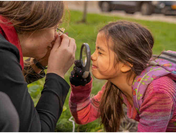 Cornell Labs on-line course - Let's Go Outside