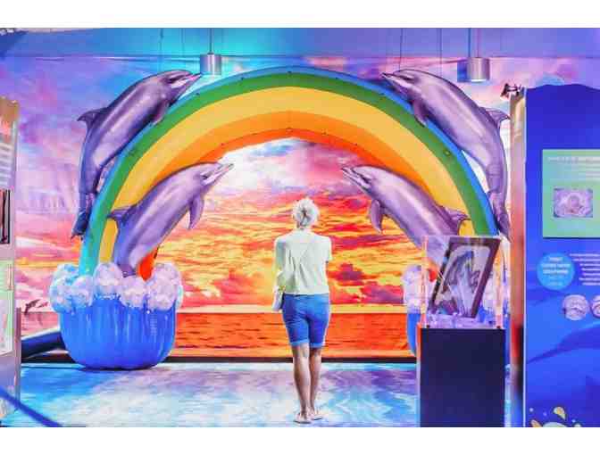 Clearwater Marine Aquarium