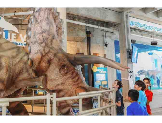 Clearwater Marine Aquarium