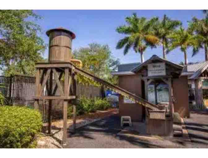 IMAG One Year Membership