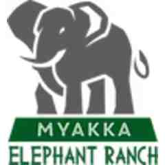 Myakka Elephant Ranch