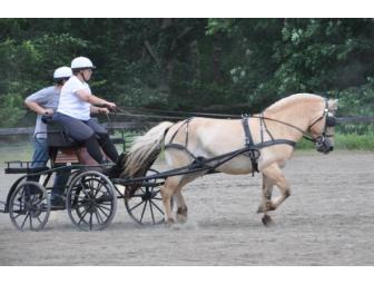 Driving Lesson at Ironwood Farm