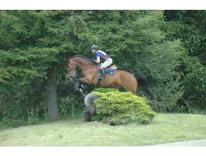 Elysian Hills Schooling Horse Trial Entry