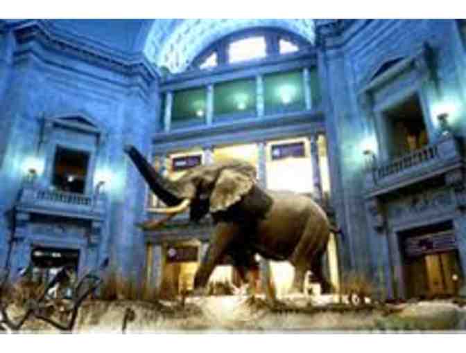 Smithsonian Private Tour & Hotel Accommodations for 4 in Washington, DC