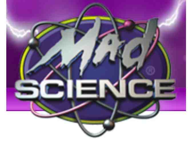 Mad Science (NY) Birthday Party Package