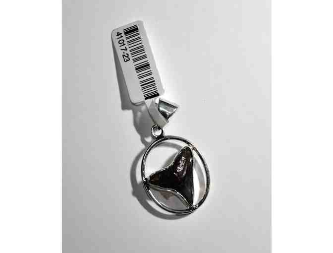 Pendant - Sharks Tooth (fossilized) in sterling silver circle w/ 18' sterling silver chain