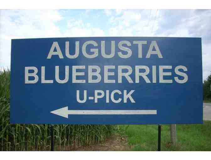 'A Day in Augusta'  Bakery, Blueberry Picking and Gups Drive In