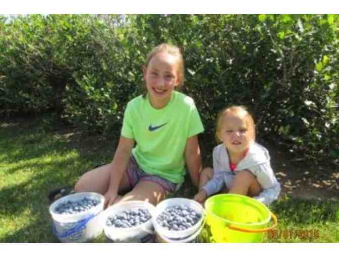 'Sweets, Blueberries and 'Weaver's Country Store'