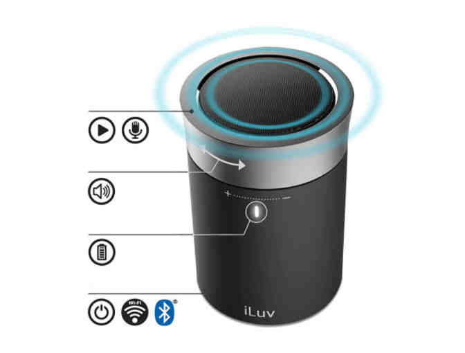 iLuv Portable Wi-Fi & Bluetooth Speaker