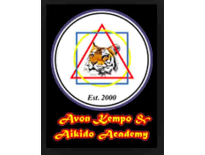 Avon Kempo & Aikido Academy - 1 Month of Classes