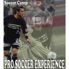 Pro Soccer Experience, LLC.