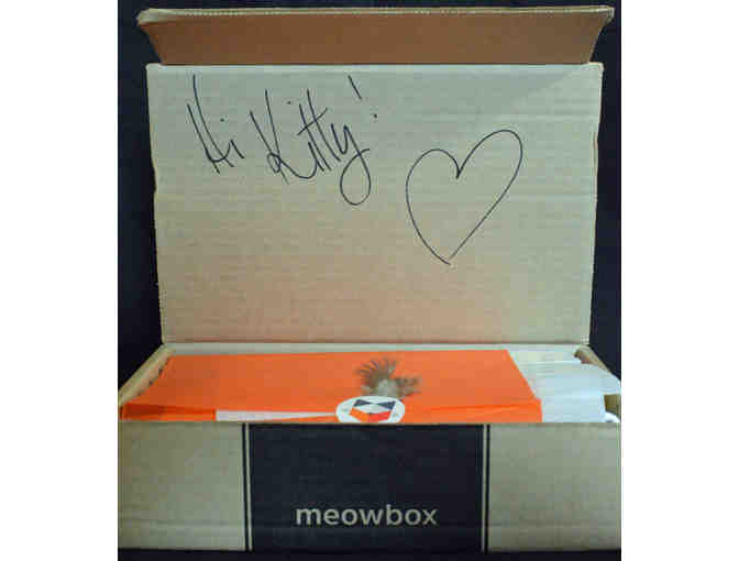 Mega Meowbox