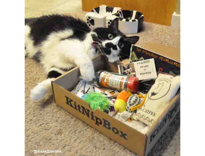 KitNipBox - Multi-Cat Box (1 month box)