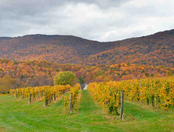 An Evening Under the Stars for 8 people at Veritas Winery (Charlottesville, VA)