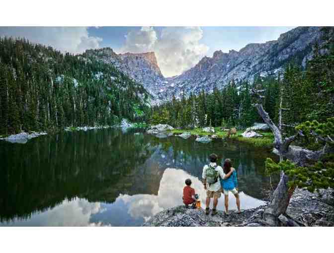 Rocky Mountain Cabin on Acreage for up to 7 in Breathtaking Estes Park, Colorado