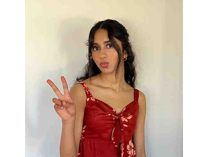 Sponsor Our Best High School Song Winner's Scholarship and Mentor Trip [From MI]