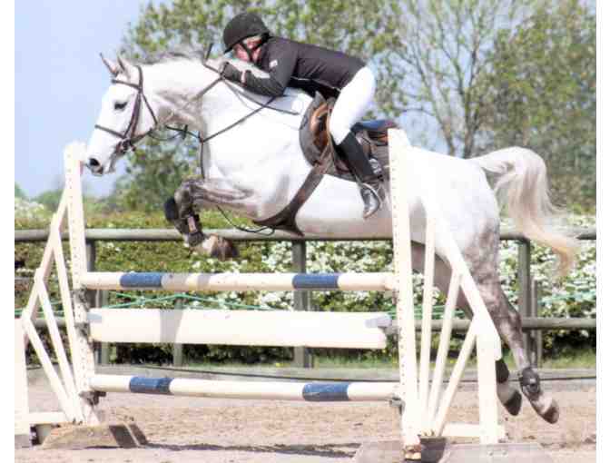 Horse Riding Lessons