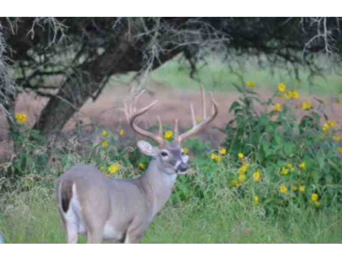 Deer Hunt.