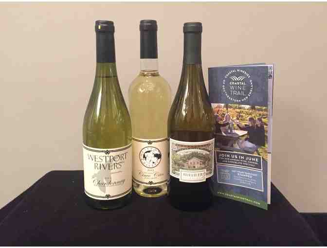 Westport (MA) White Wines (3) + Countertop Wine Fridge
