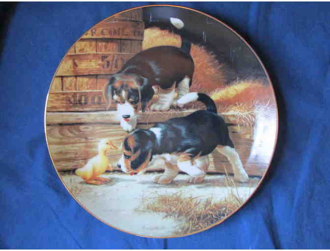 Beagle Collector's Plate