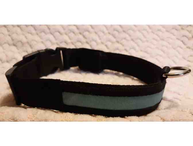 Lighted dog collar