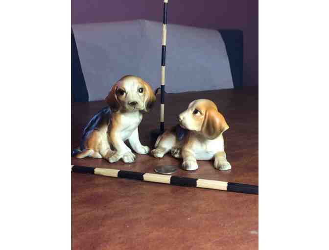 Beagles pair