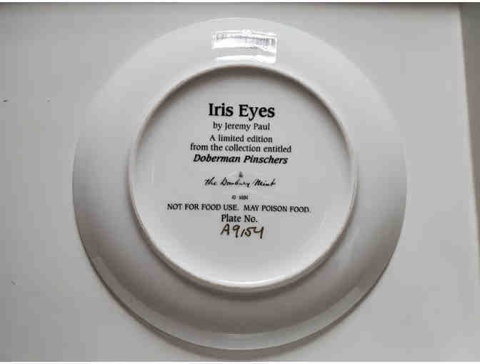 Plate - Iris Eyes