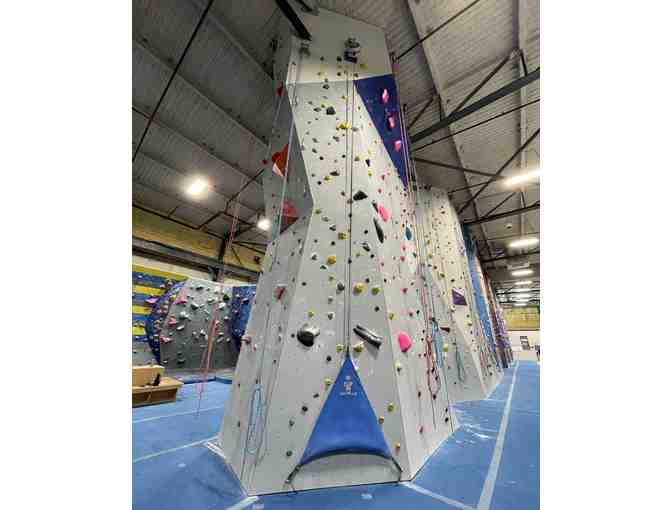 Central Rock Gym 4 Day Passes - Photo 2