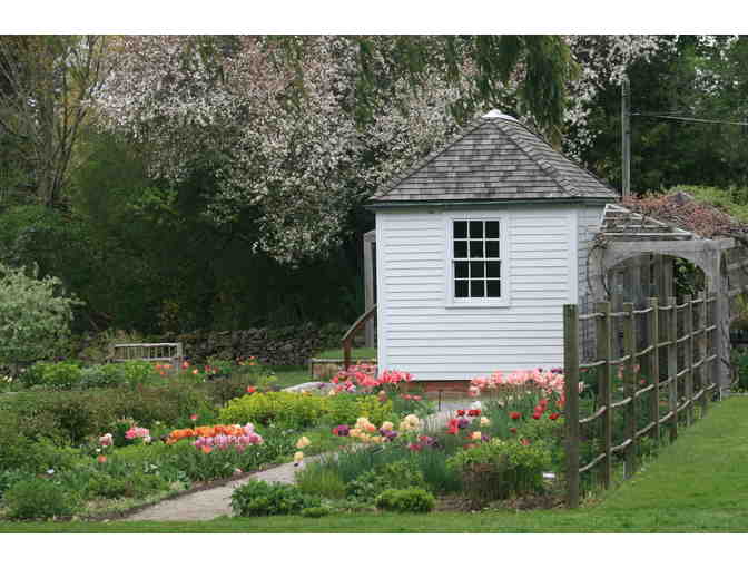 Blithewold Mansion, Gardens & Arboretum 4 Guest Passes - Photo 1