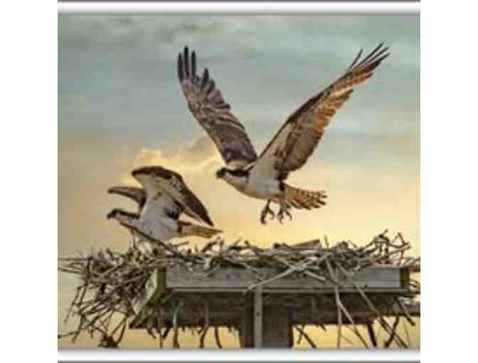 Audubon Society of Rhode Island One-Year Family Membership