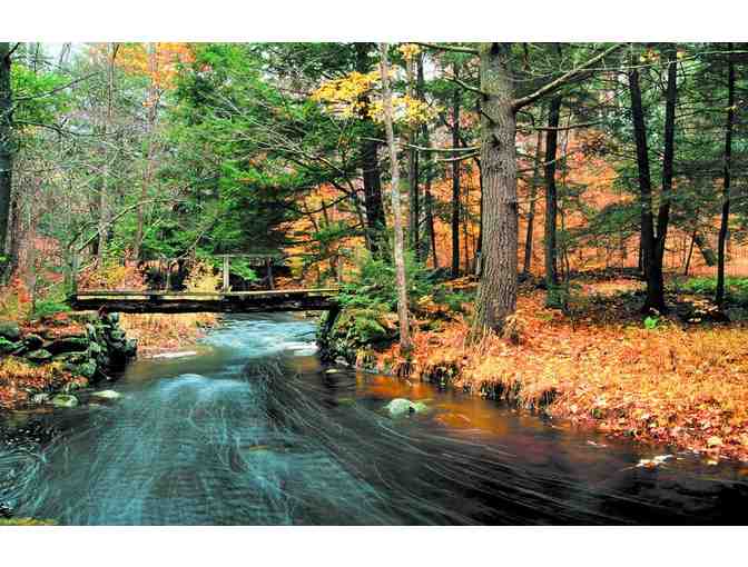 The Trustees: Year-Long Family Membership