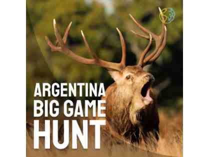 Argentina Big Game Hunt for 4 Hunters