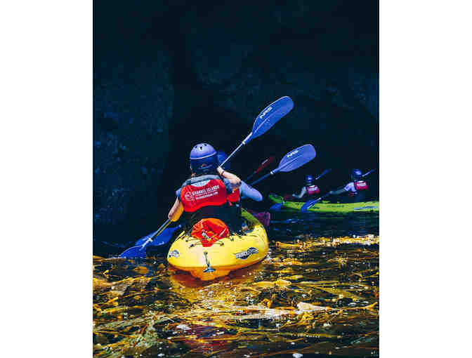 Channel Islands Discovery Sea Cave Kayaking Tour For Two!