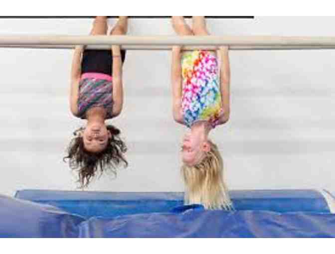 Monarchs Gymnastics-1 Free Month of Gymnastics Classes!
