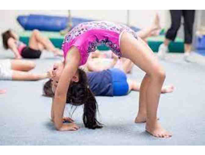 Monarchs Gymnastics-1 Free Month of Gymnastics Classes!