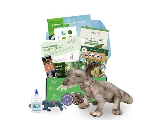 Wildlife Tree- Bonnethead Shark Stuffed Animal, Shark Book and Conservationist Gift Box!