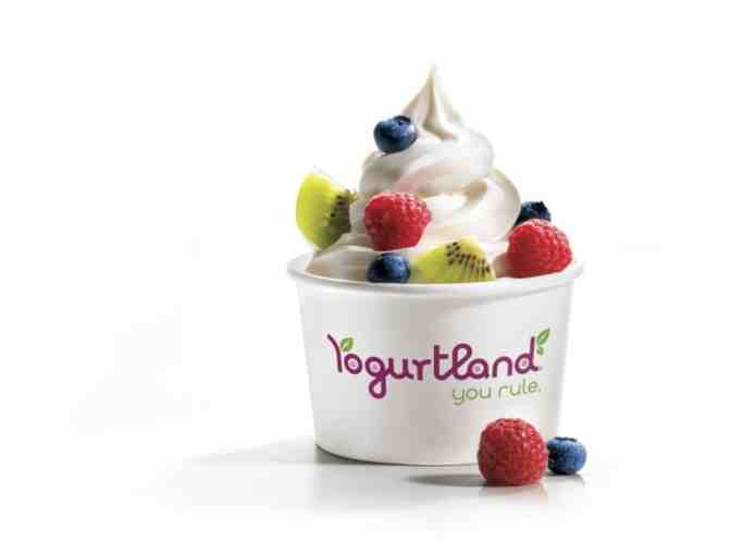 Yogurtland - $25 Gift Card (#2)