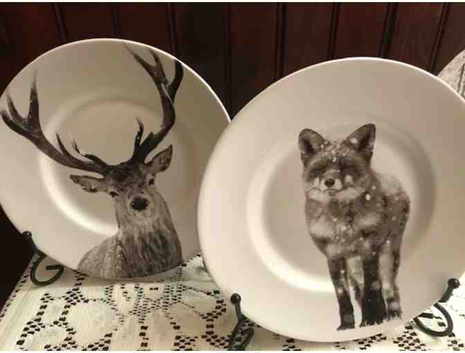 Set of 4 Porcelain Wildlife Plates