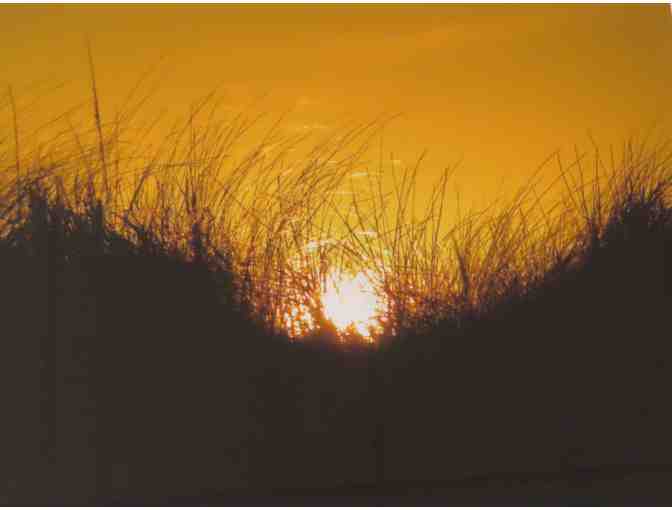 Photograph 'Dune Grasses' by Paul Doherty