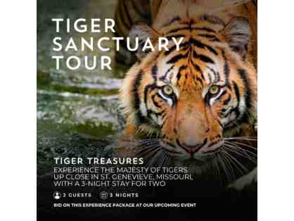 Up Close & Personal Tiger Experience in St. Genevieve Missouri with a 3-Night Stay for (2)