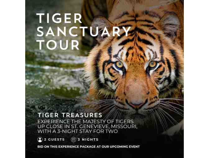 Up Close & Personal Tiger Experience in St. Genevieve Missouri with a 3-Night Stay for (2) - Photo 1