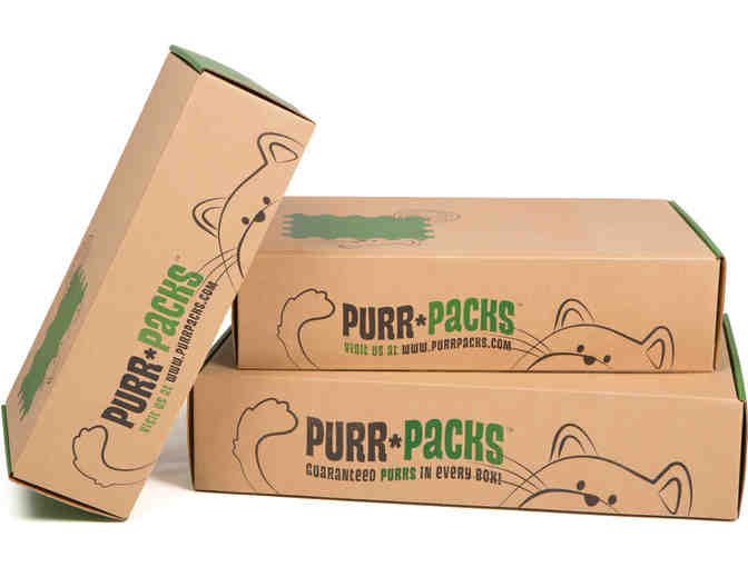 Fun & Love Purr Pack for Cats -- #2
