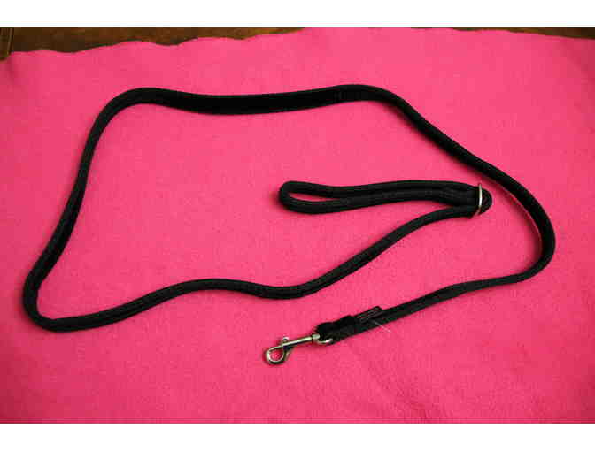 Black Velvet Leash from 2 Hounds Design